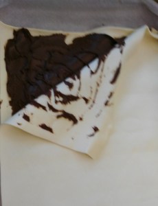 IMG_20151218_082057 (1)