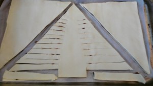 IMG_20151218_082537 (1)